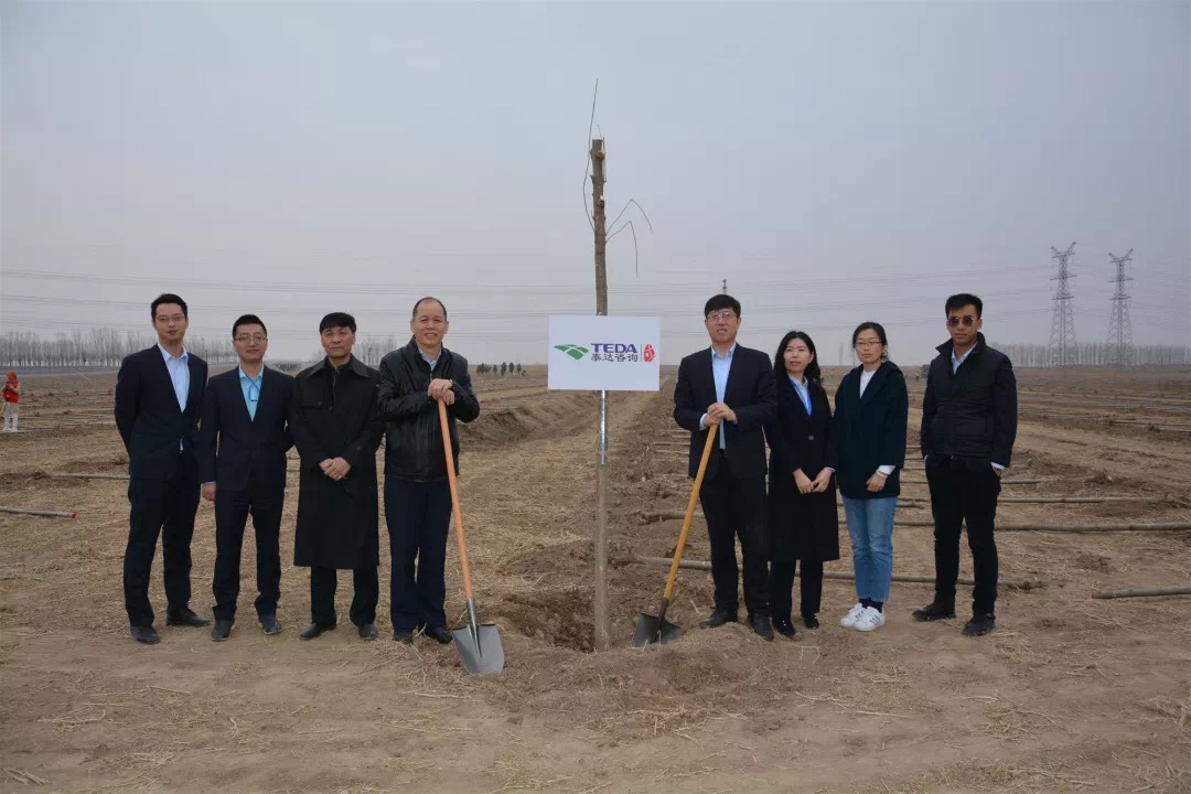 綠水青山就是金山銀山--泰達(dá)咨詢董事長(zhǎng)帶隊(duì)參加靜海區(qū)植樹(shù)造林活動(dòng)