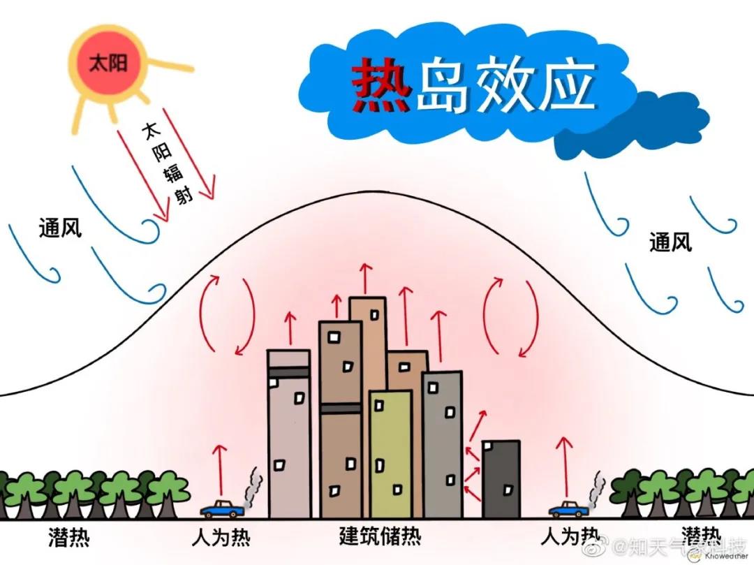 遠離熱島效應(yīng) 歐輝氫燃料客車讓城市更清涼(圖2)